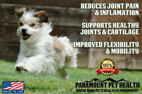 liquid glucosamine for small dogs reduces joint pain