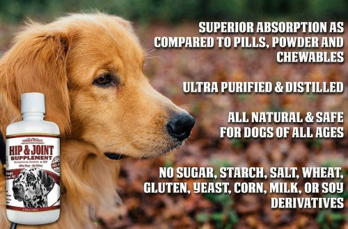 concentrated liquid glucosamine for large dogs