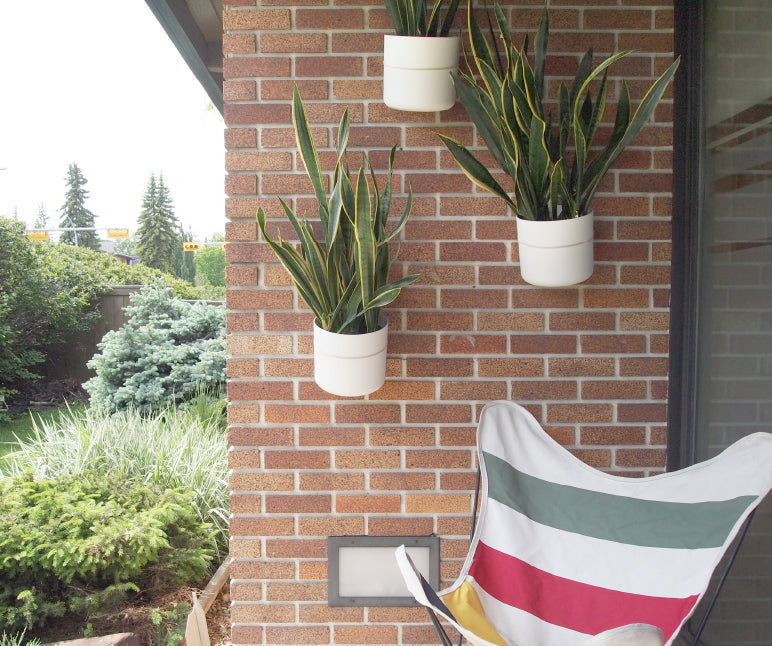 Photograph showing three potted plants hanging outdoors on a brick wall using DécoBrick™ hangers.
