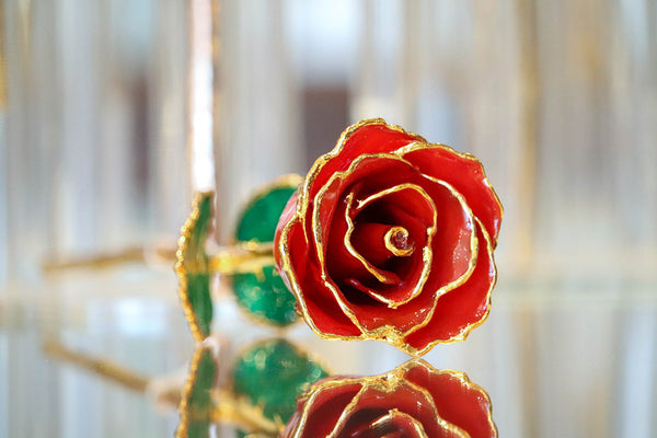 image of red 24k gold rose