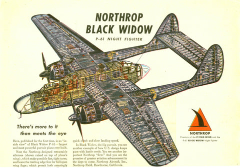 P-61 cutaway