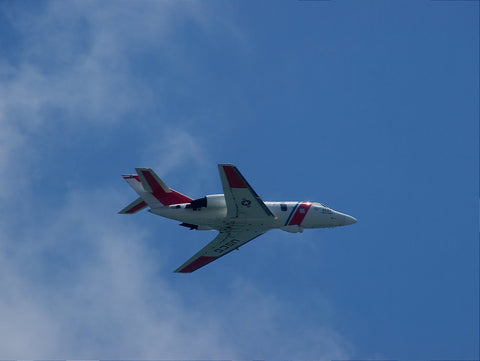 Guardian in flight