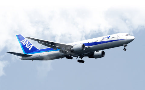 All Nippon Airways 767