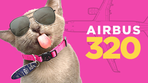 Dog Collar Plane Dog Collar Pink Airplanes Dog Collar 