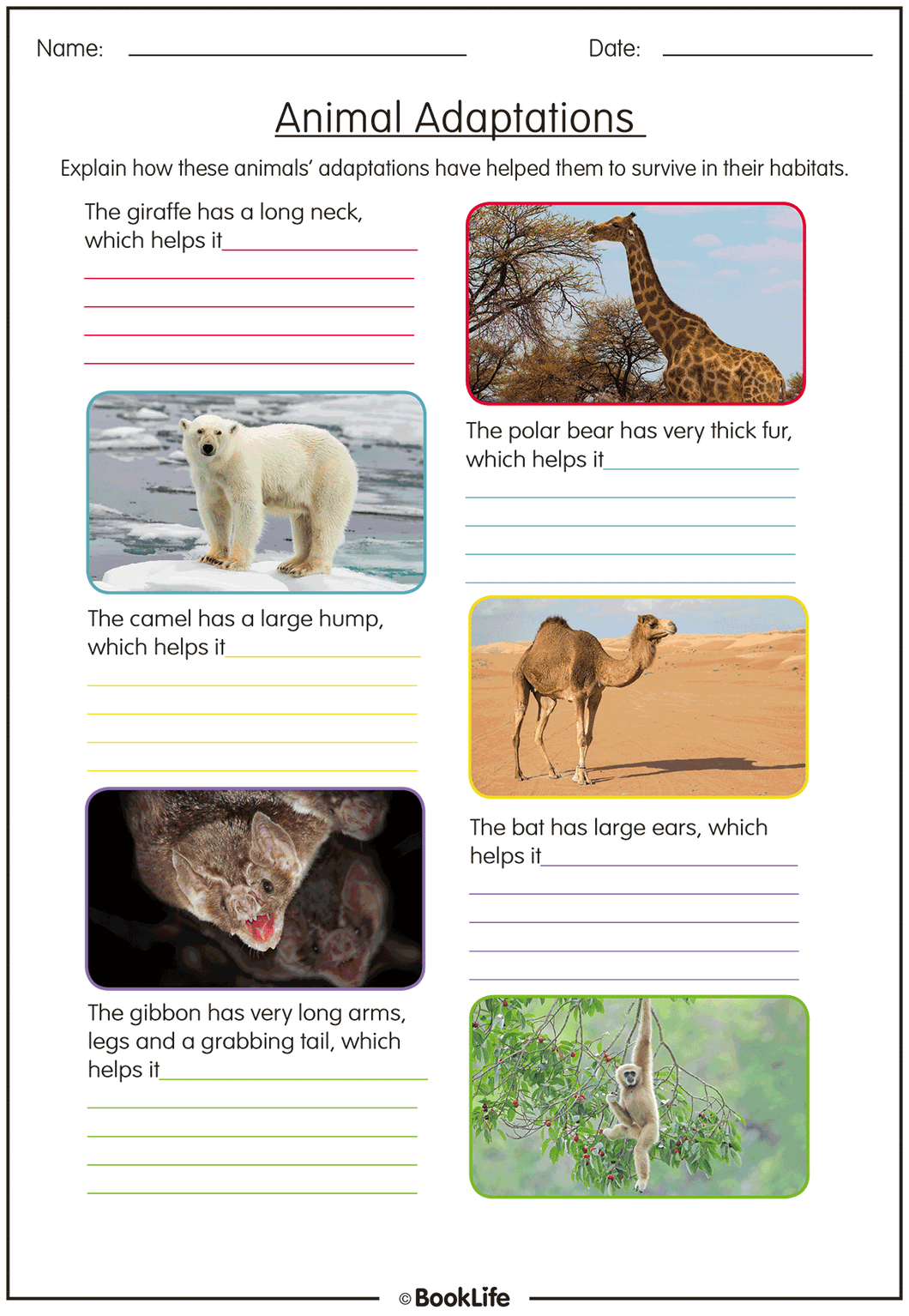 free-animal-habitat-worksheets-worksheet24