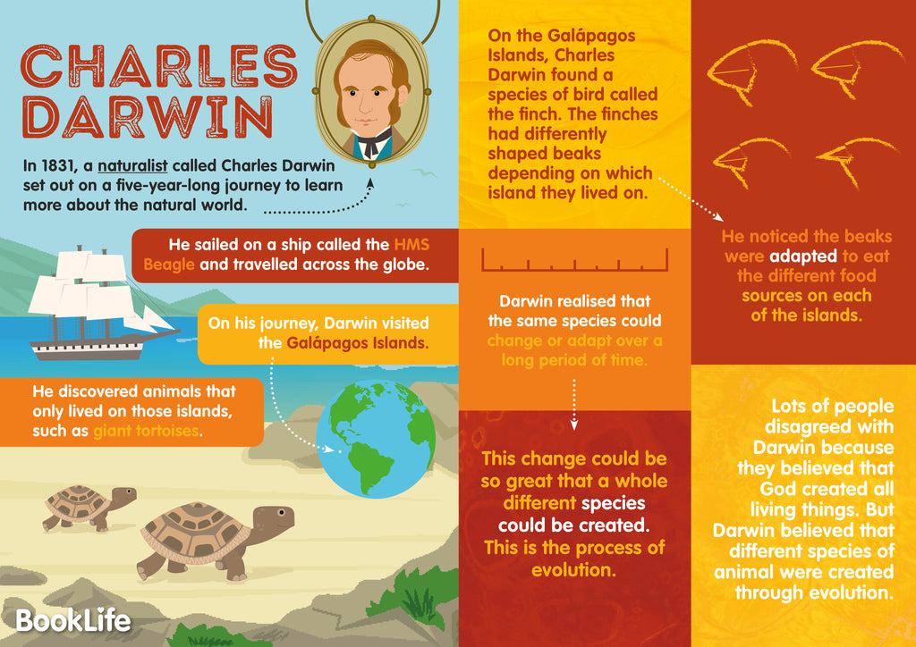 charles darwin biography poster