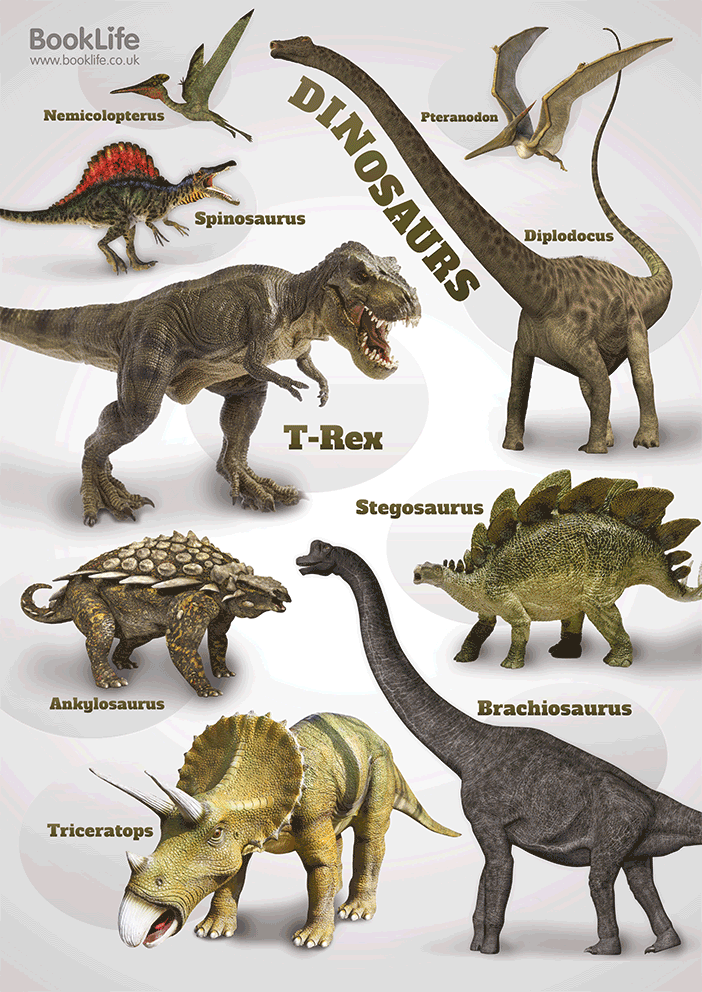 Free Dinosaur Poster for Schools BookLife