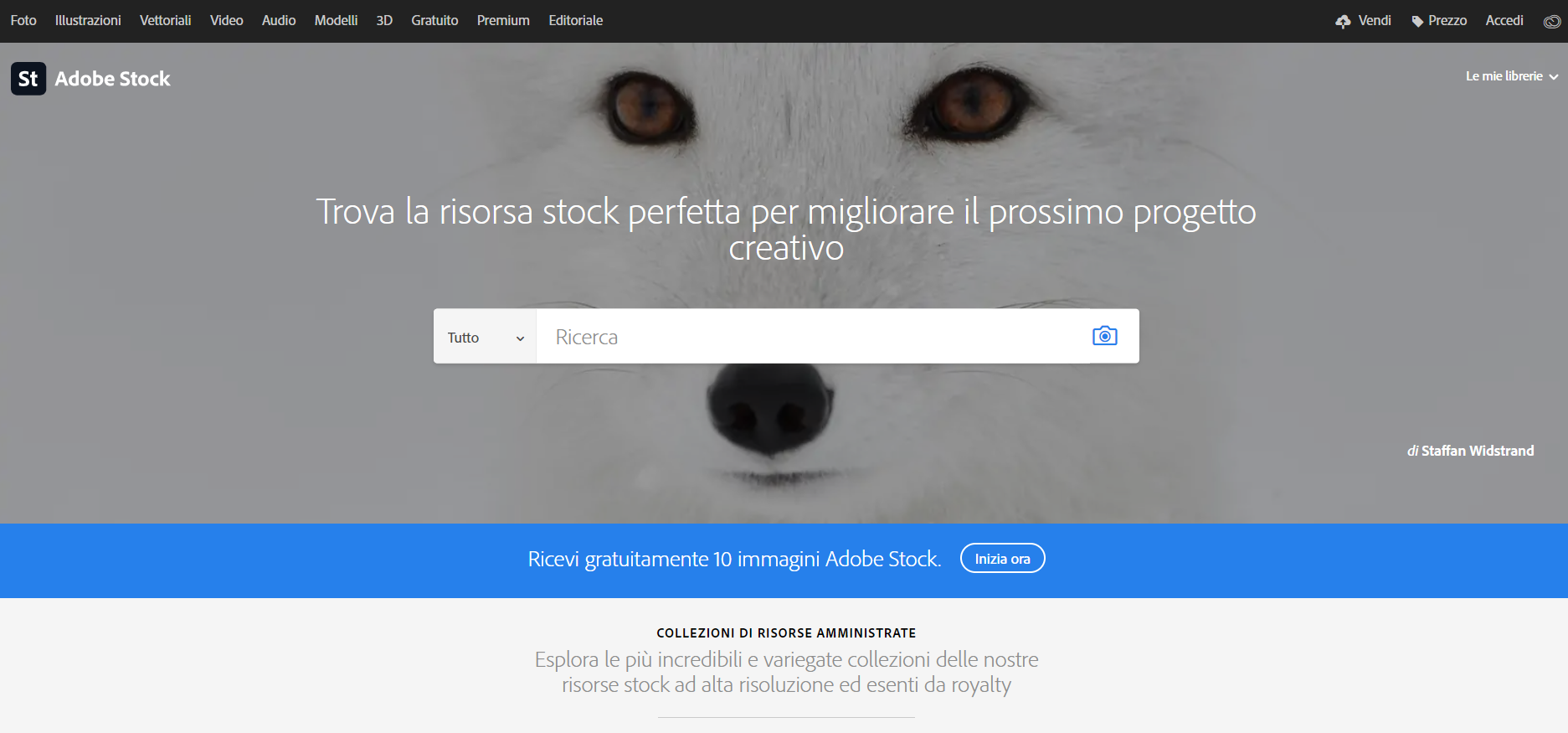 Adobe Stock - Siti per vendere foto online