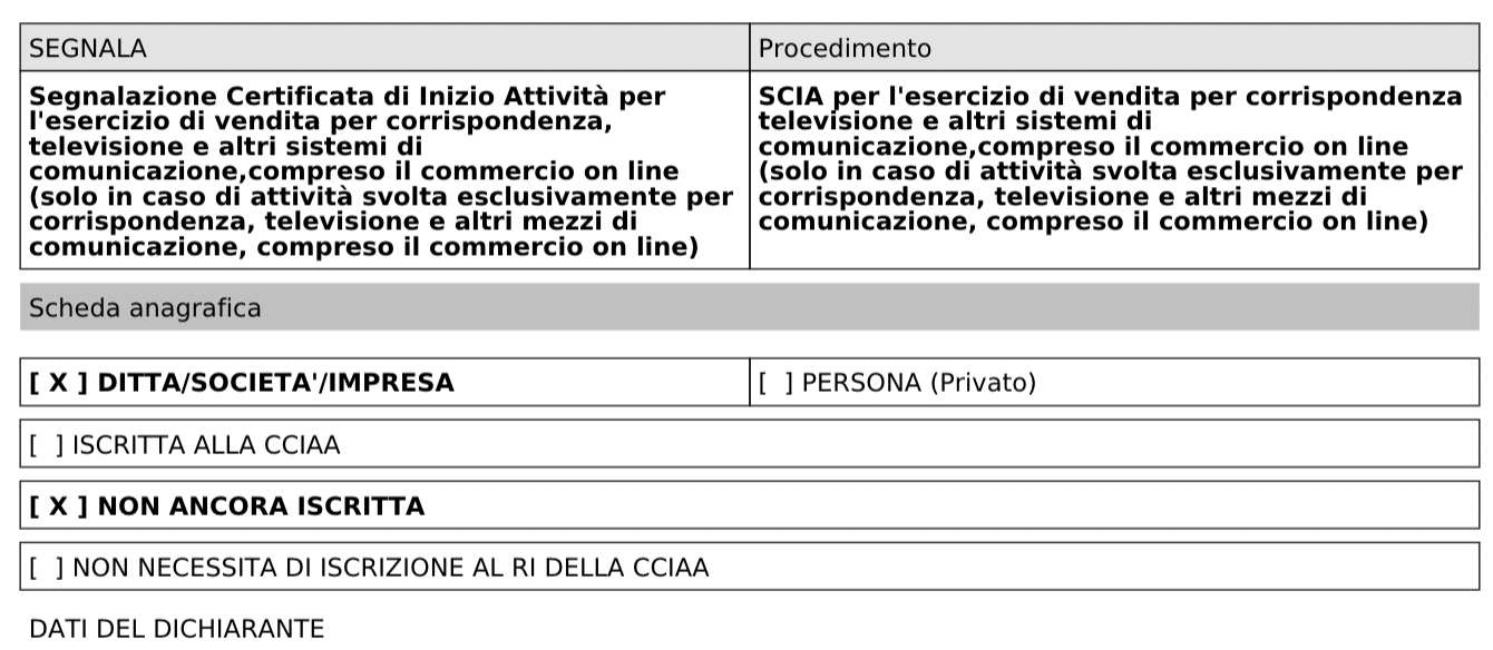 modello scia ecommerce