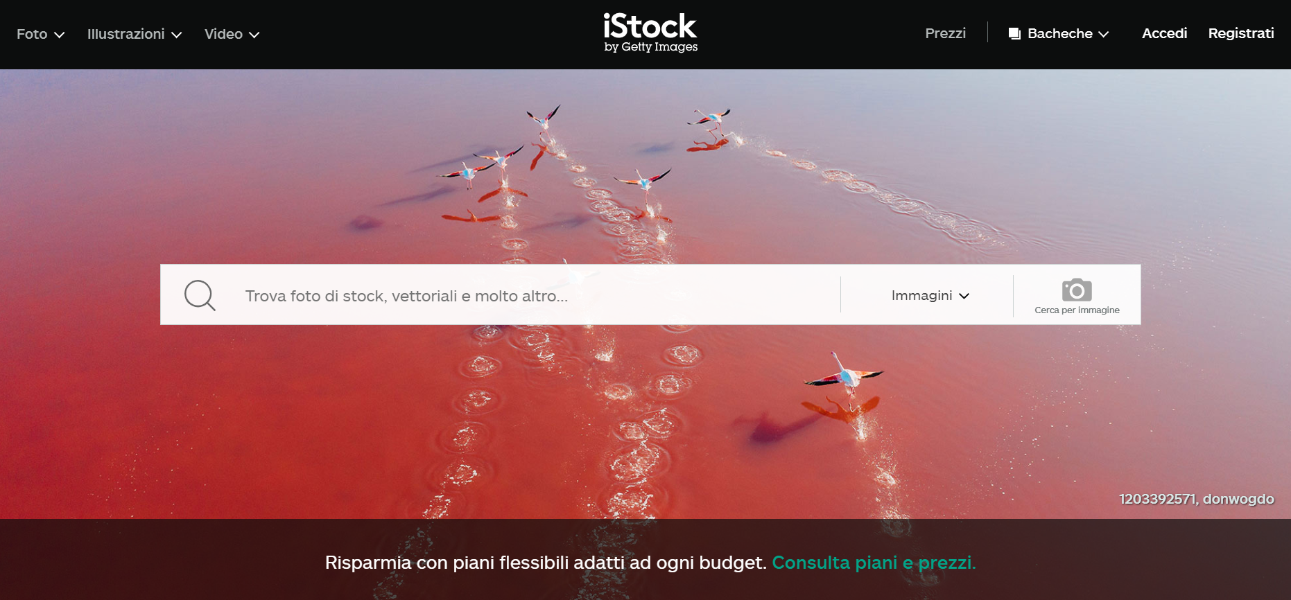 Siti per vendere foto online - iStock