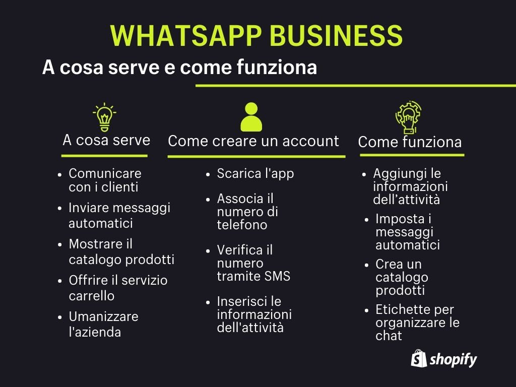 whatsapp business infografica