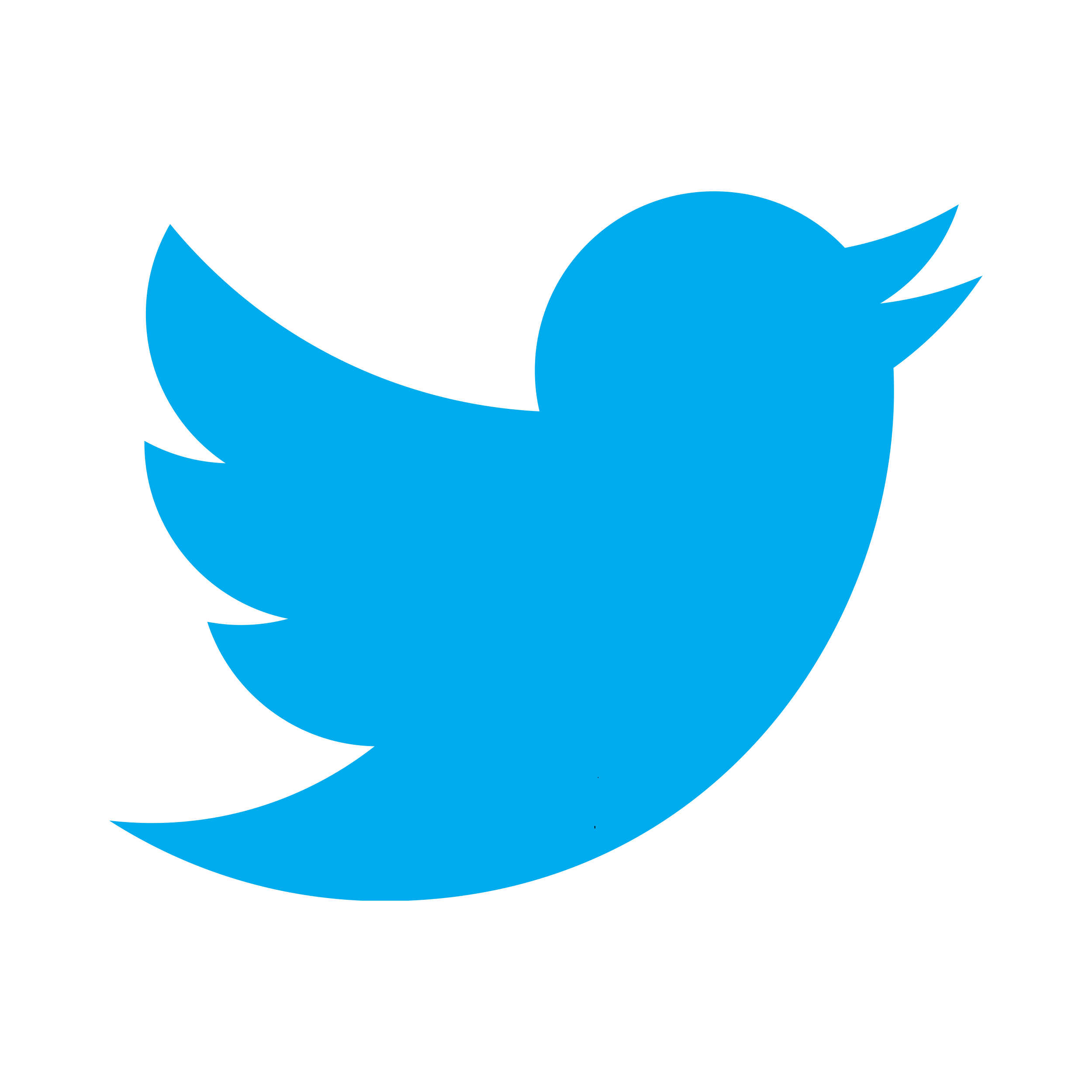 Logo Twitter