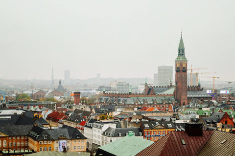 Copenhagen Roof Tops