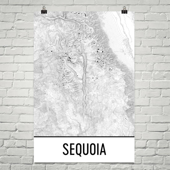 Sequoia National Park Topographic Map Art – Modern Map Art