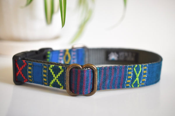 dog collars shop