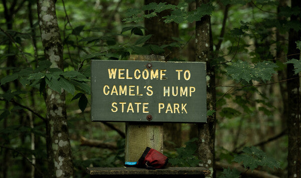 Trail sign welcoming Ben to Camel's Hump State Park