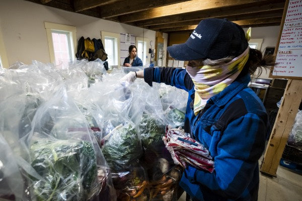 Vermont foodbank volunteer looking through bags of spinach