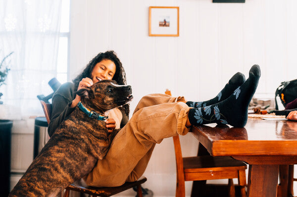 Person with sock-clad feet up on the table, giving their dog an ear-scratch