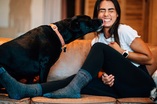 woman on couch wearing the mountaineer socks with a dog licking her face