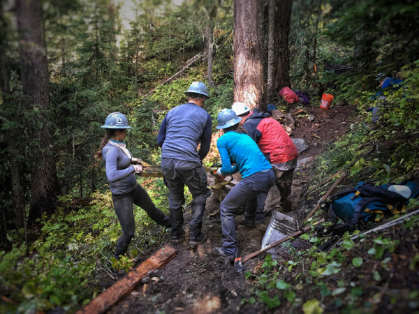 Volunteer crew doing trail maintenance on the Nannie Ridge trail