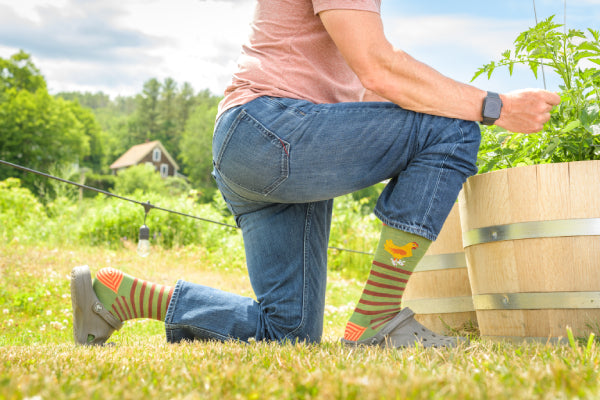 Person gardening in Darn Tough chicken socks