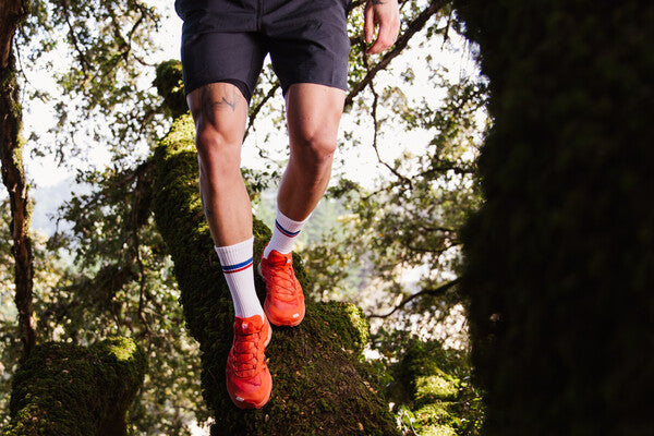 Person climbing tree wearing lightweight socks from darn tough