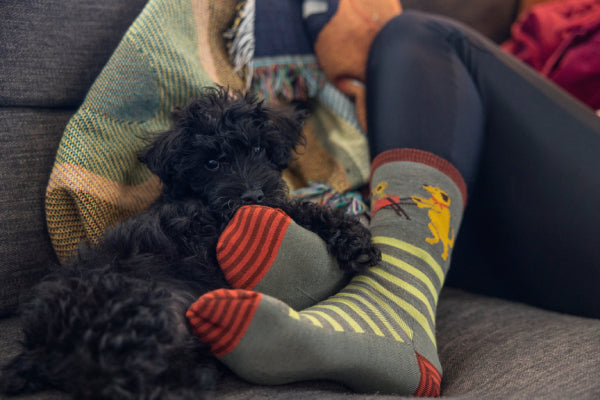Person in Darn Tough dog socks on a couch with a dog