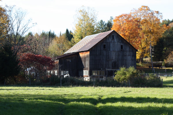 Vermont farm tucked away in the trees