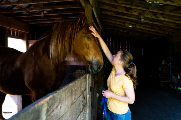 Farmer holding Darn Tough Barnyard Crew Socks and petting a horse