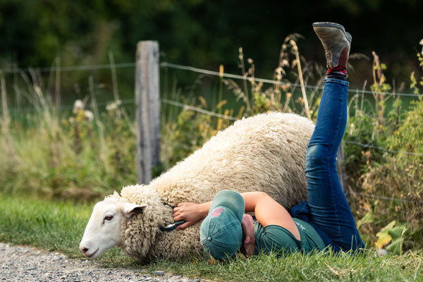 Woman hugging a merino wool sheep. We get our yarns from responsible wool standard farms.