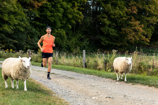 Person running past a couple sheep, while wearing wool socks