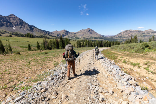 Two backpackers headed down the trail in Montana's Absaroka Beartooth Wilderness