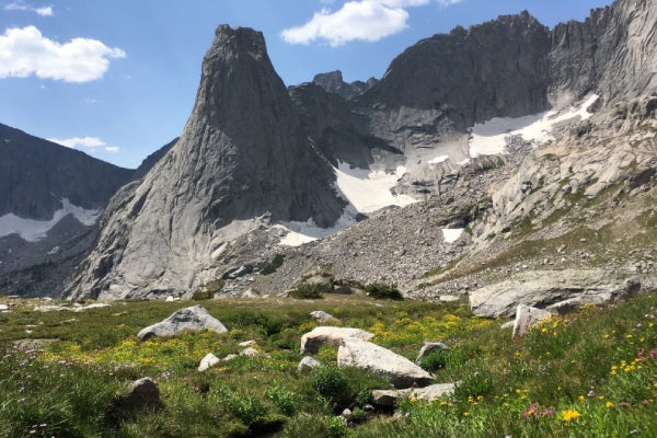 A beautiful view of the Wind River Range, part of the CDT
