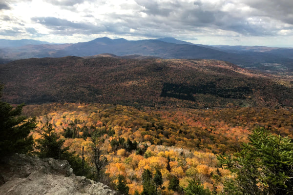 Mountain vistas with fall foliage, seen from the Long Trail
