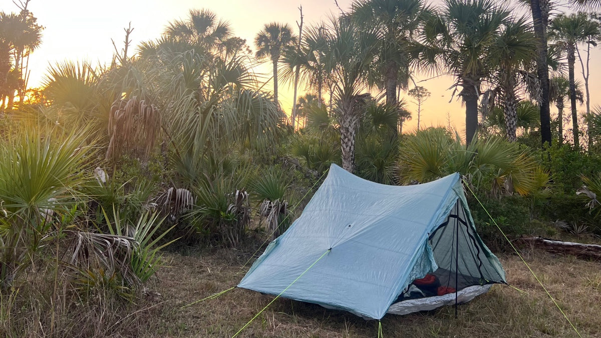 A tent pitched on the ground, surrounded by palm trees, as the sun rises over the Florida Trail