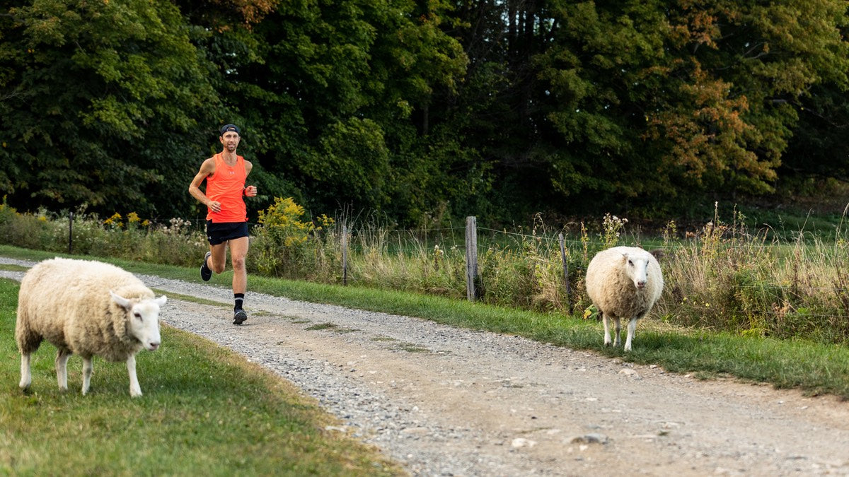 Man running past some merino wool sheep while wearing merino wool socks, all part of the history