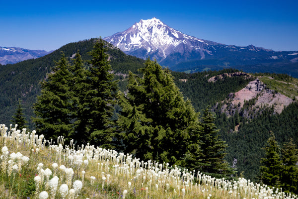 View of Mt Defiance in Oregon, a great hike near Hood River