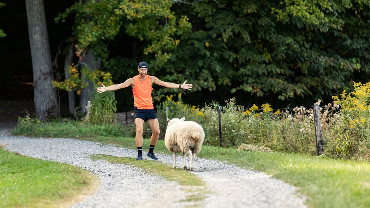 A runner with arms spread wide, ready to hug a cute sheep