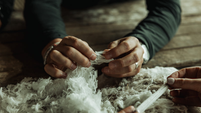 Hands gently fluffing Merino fibers, showing their softness