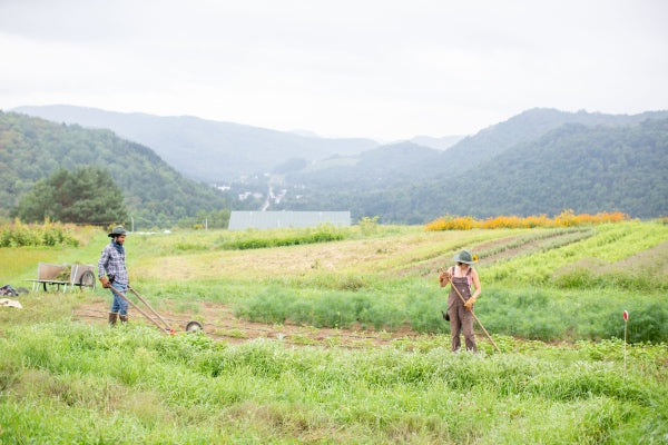 Two farmers out working in a field, wearing Vermont Gloves