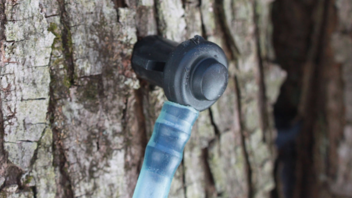 A tap in a maple tree, collecting sap to make maple syrup
