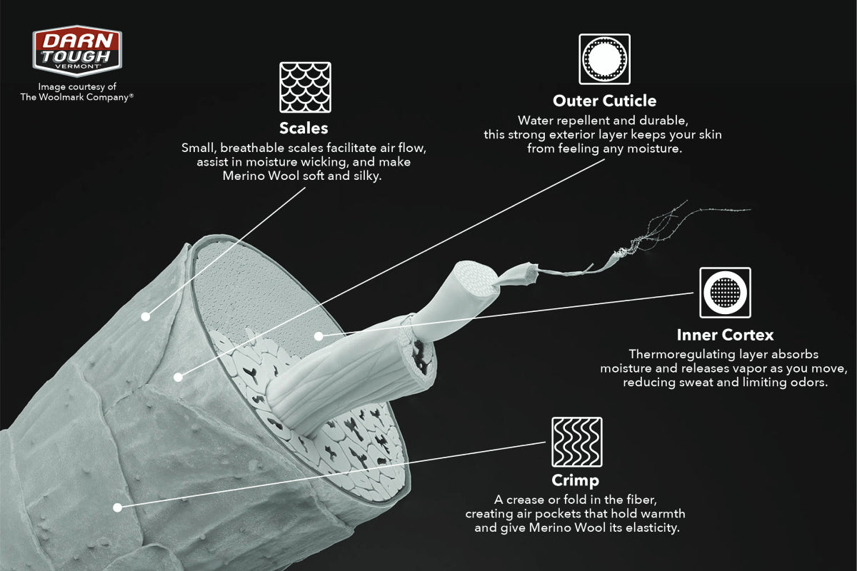 An infographic showing the anatomy of a merino wool fiber and how it works