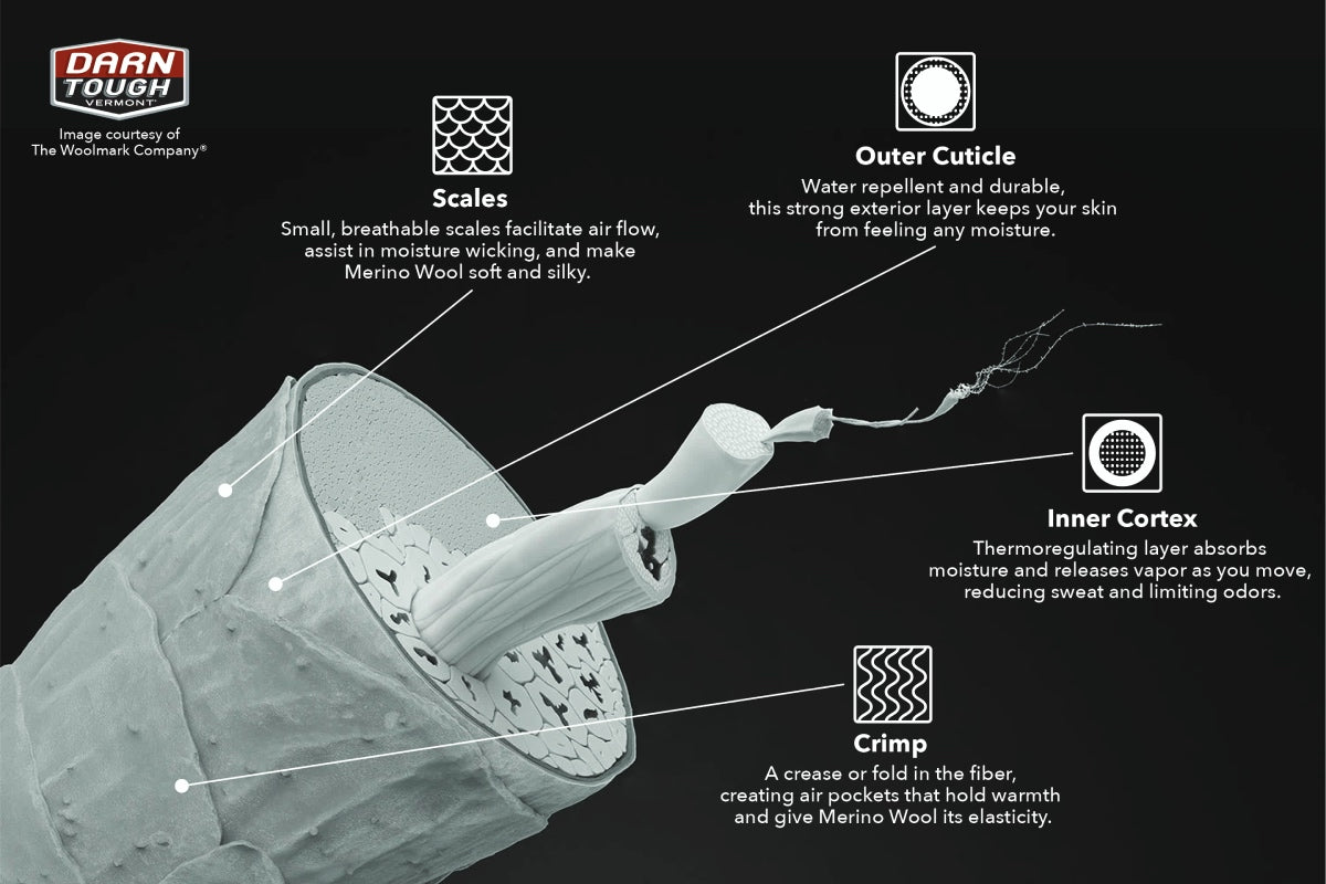 Infographic showing Merino Wool fiber interior and the crimp that helps control temperature