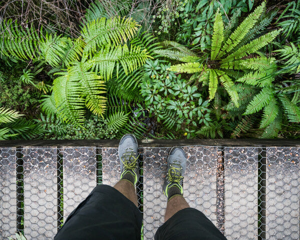 Walker in tropical climate wearing merino wool socks to keep their feet cool