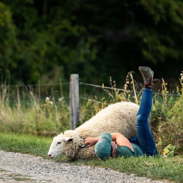 Person on the ground cuddling with a sheep