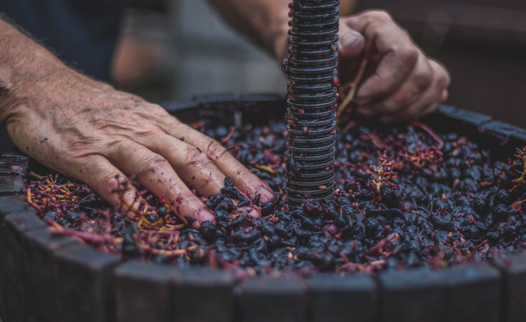 wine grapes tannins