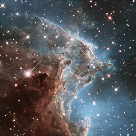 A small portion of the Monkey Head Nebula, a star-forming region.