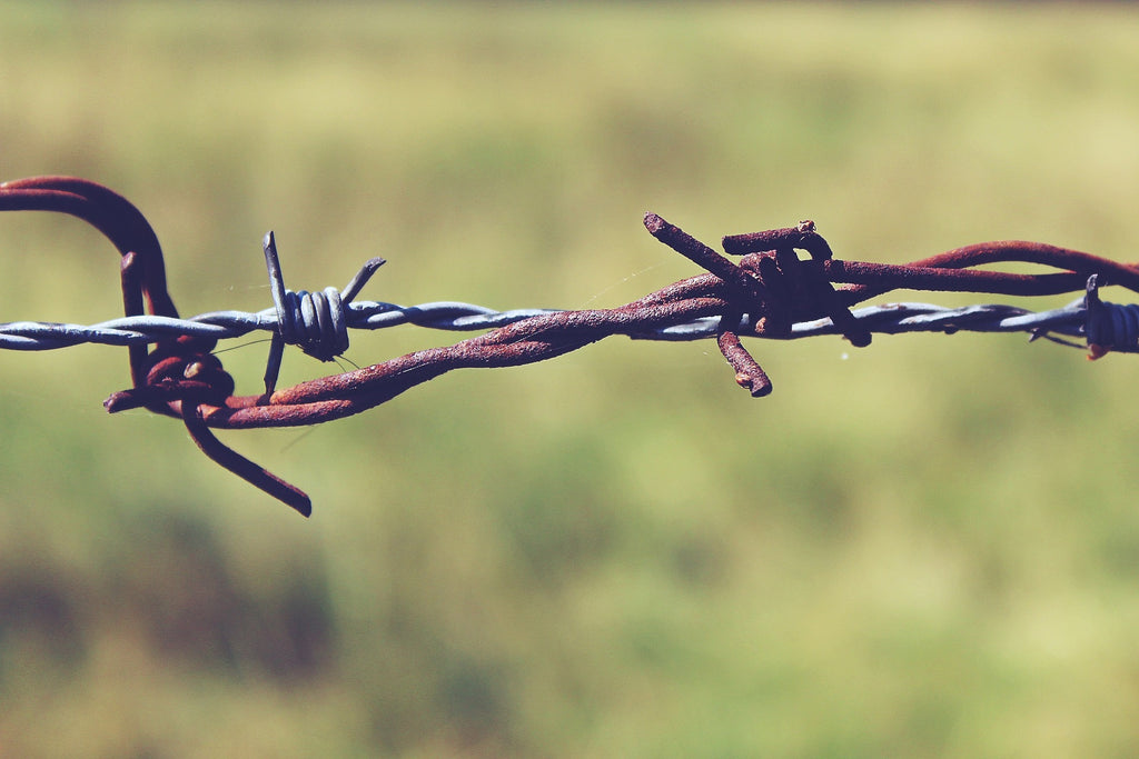 Barbed Wire