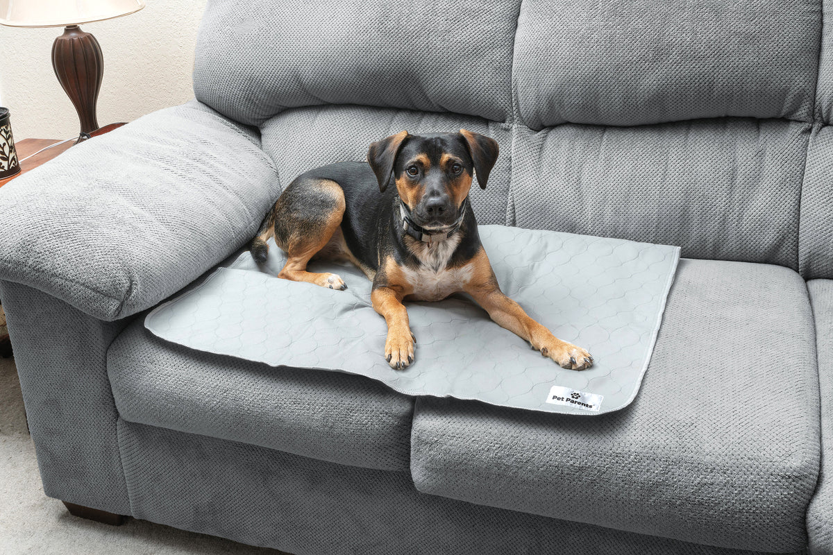 The Pet Parents® Guide to Pee Pads