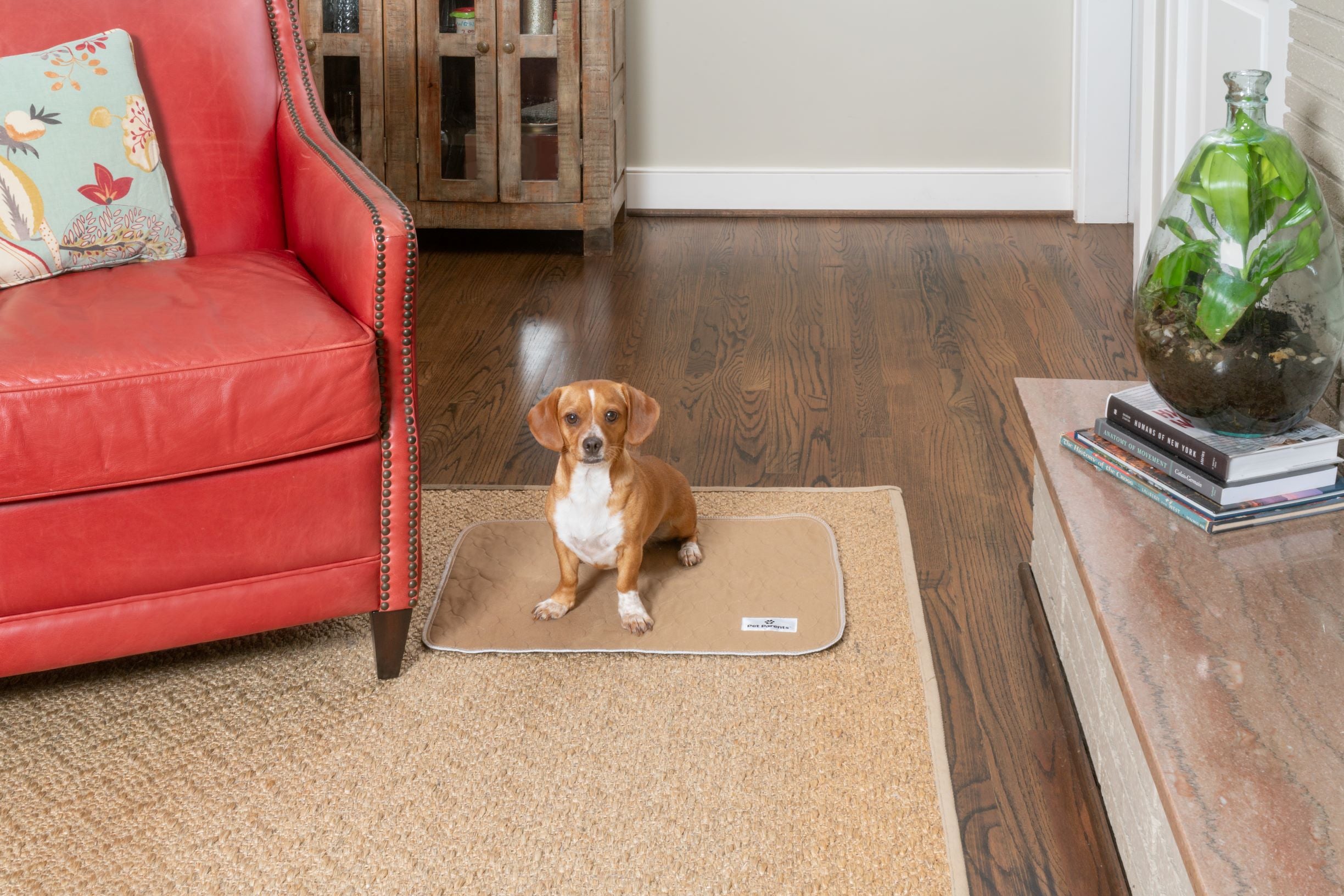 What Dog Pee Pads Are and How They Work